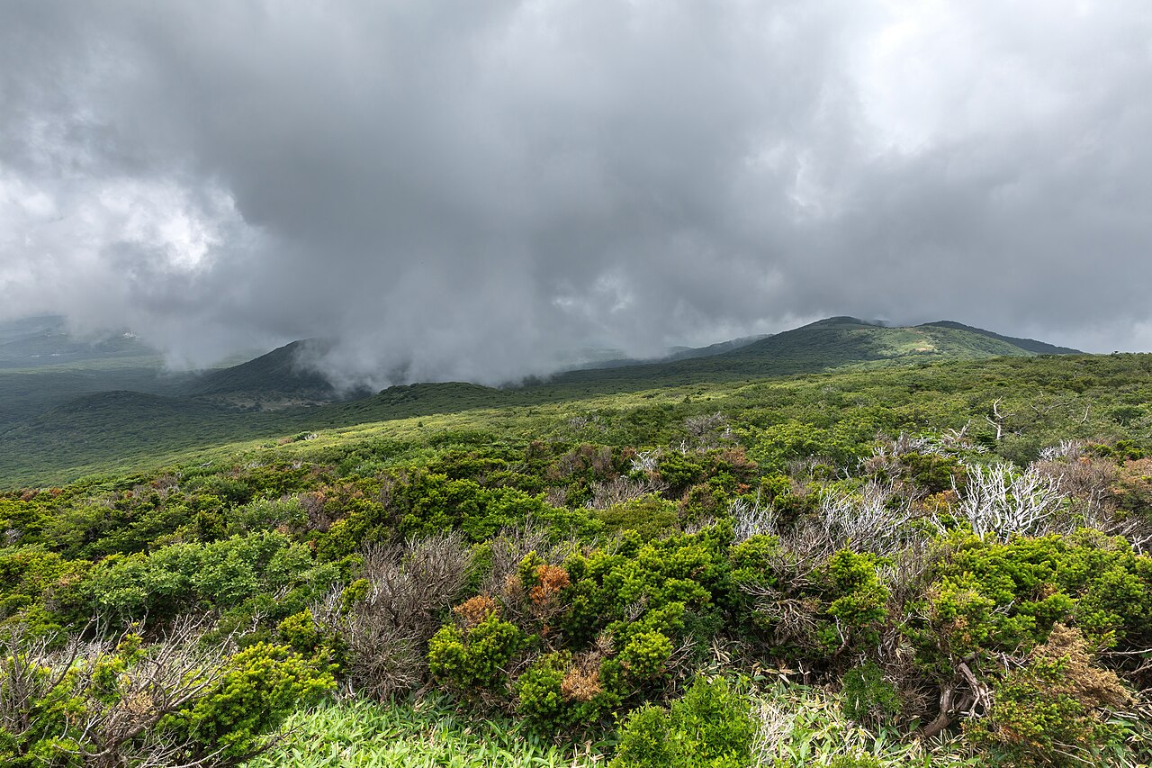 Green subtropical vegetation on the low cloud-swept plains and hills, along the 