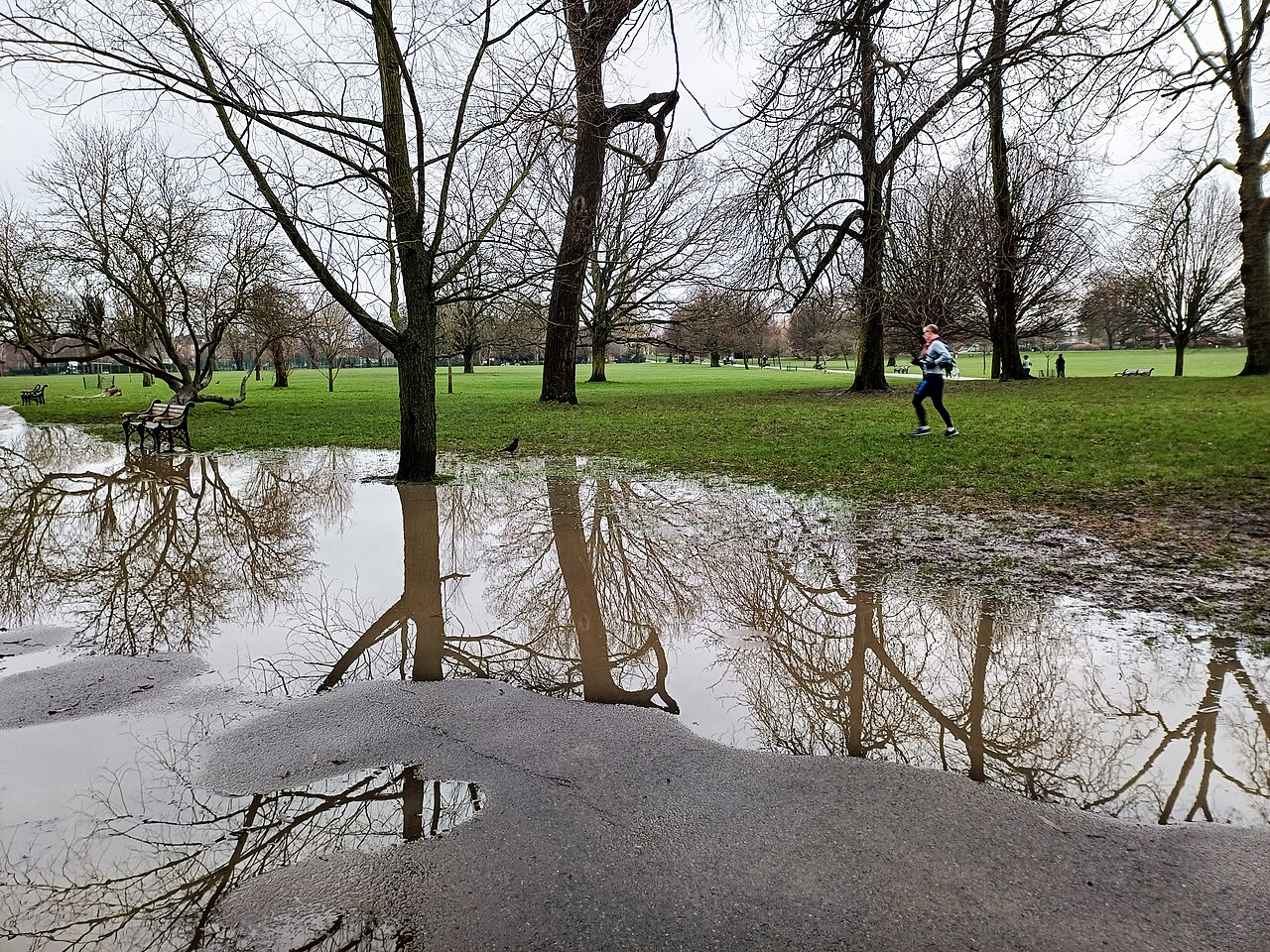 An urban park after a heavy rain