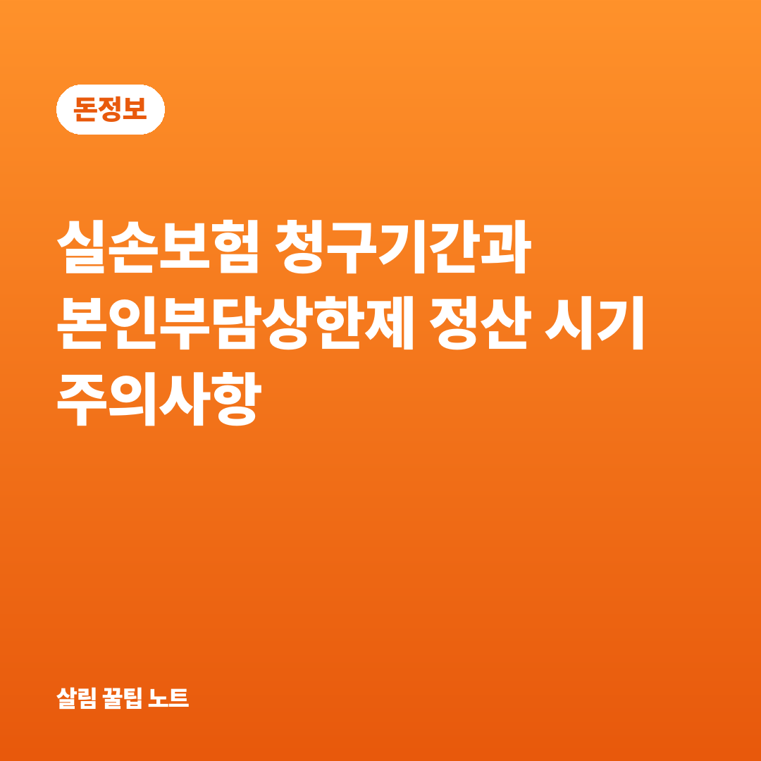 실손보험 청구기간과 본인부담상한제 정산 시기 주의사항