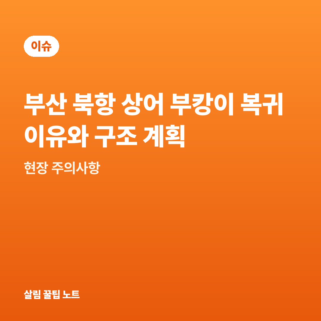 부산 북항 상어 부캉이 복귀 이유와 구조 계획 — 현장 주의사항
