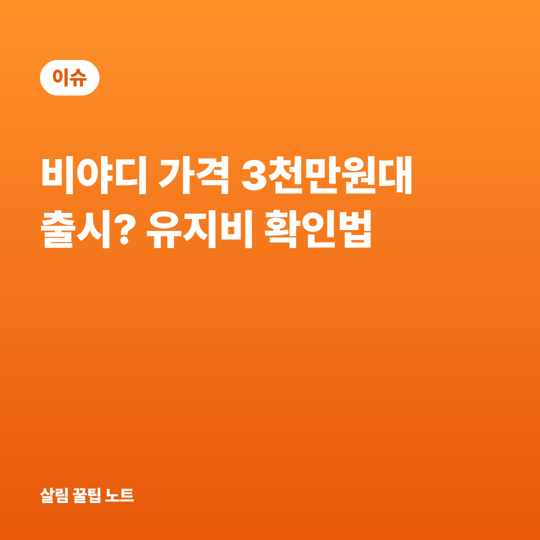 비야디 가격 3천만원대 출시? 유지비 확인법