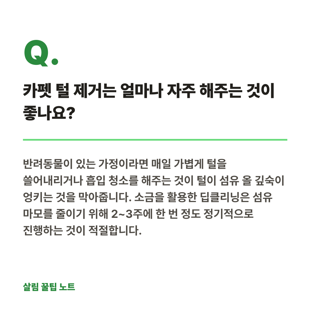 자주 묻는 질문