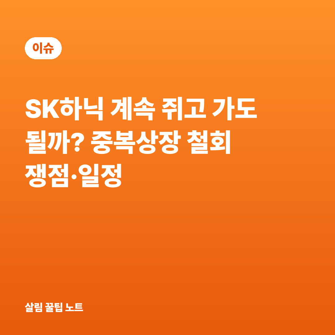 SK하닉 계속 쥐고 가도 될까? 중복상장 철회 쟁점·일정