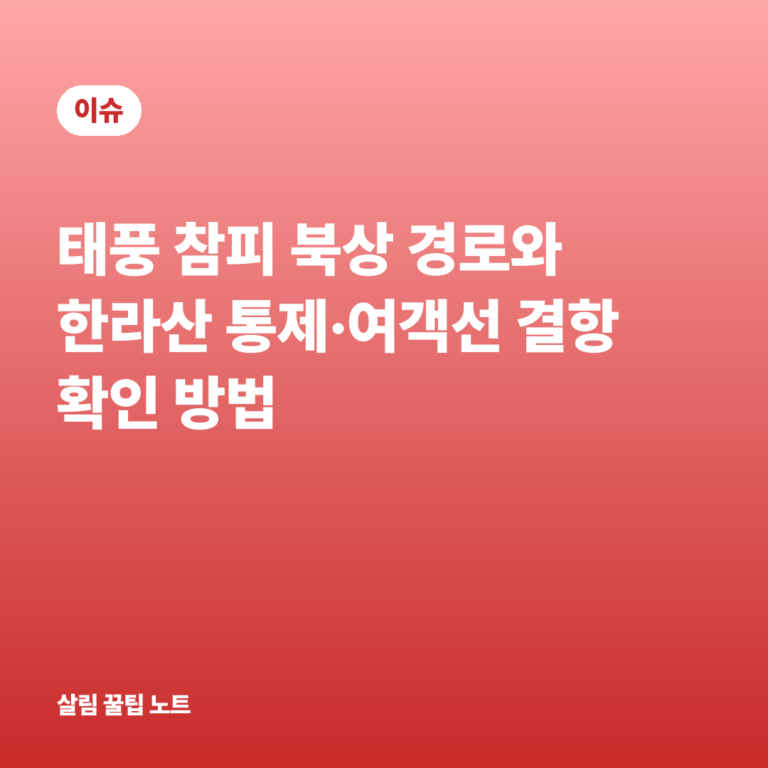 태풍 참피 북상 경로와 한라산 통제·여객선 결항 확인 방법