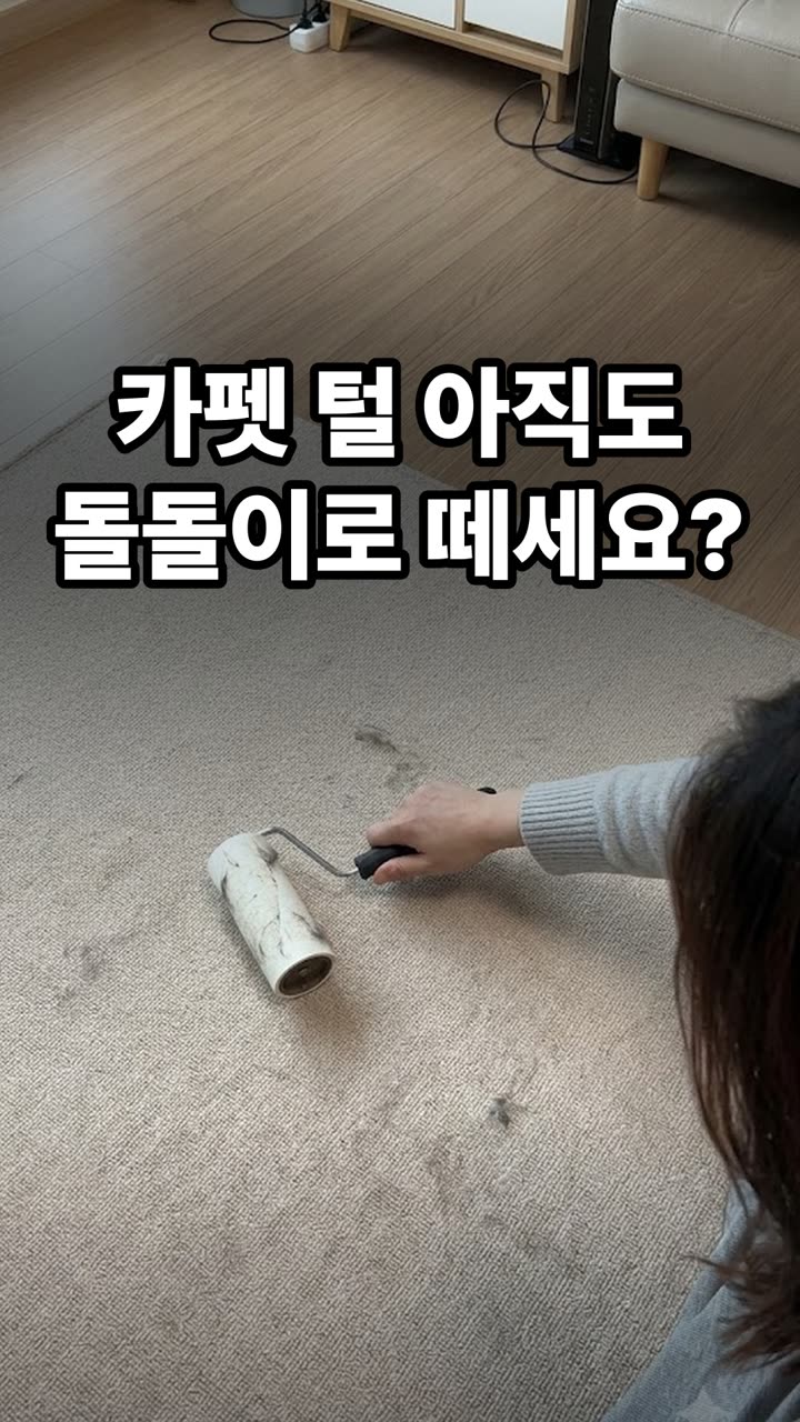 카펫 털 청소 방법 3가지 — 돌돌이 없이 쉽게 제거하기