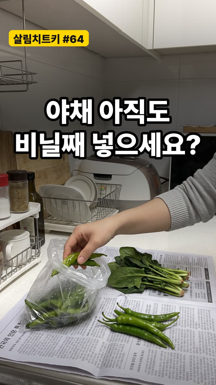 야채 싱싱하게 오래 보관하는 방법 3가지 — 비닐째 넣지 마세요